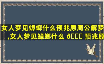 女人梦见蟑螂什么预兆原周公解梦,女人梦见蟑螂什么 🐝 预兆原周公解梦梦见蛇